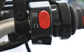 TRIUMPH STREET TRIPLE R 2010 TMD416