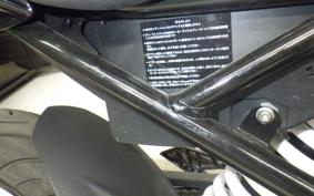BMW G310R 2024