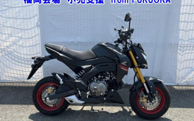 OTHER Z125PRO