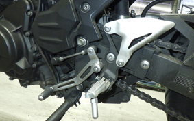 KAWASAKI Z250 Gen.2 2025 EX250P