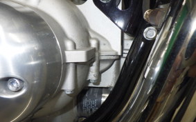 KAWASAKI W800 2024 EJ800E