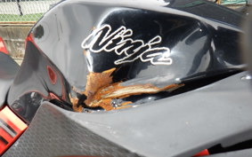 KAWASAKI NINJA 250 EX250L