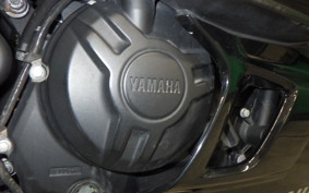 YAMAHA YZF R-3 2019 RH13J