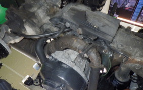 HONDA GYRO X 2025 TD01