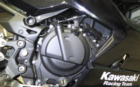 KAWASAKI NINJA 400 2018 EX400G