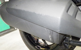 SUZUKI Vｽﾄﾛｰﾑ250A 2009