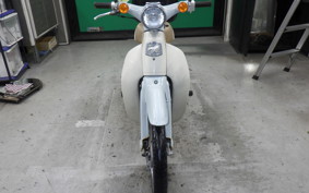 HONDA LITTLE CUB 2019 AA01