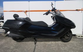 YAMAHA MAXAM250 SG21J