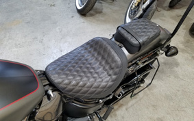 HARLEY FXBB 2019 YJJ