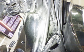 KAWASAKI W800 2020 EJ800B