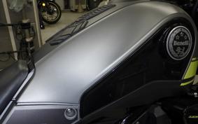 BENELLI レオンチーノ250 2017
