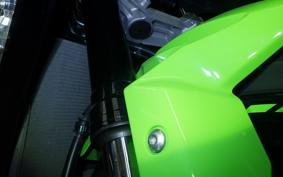 KAWASAKI NINJA ZX-6R A 2019 ZX636G