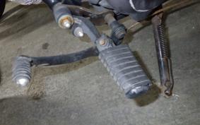 YAMAHA VIRAGO 250 3DM