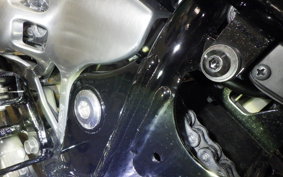 KAWASAKI W800 2025 EJ800E