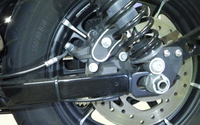 HARLEY XL883N 2015