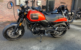 HARLEY X500 2025 W5B
