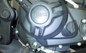 YAMAHA MT-25 2021 RG10J