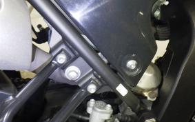 YAMAHA WR250X 2019 DG15J