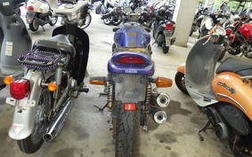 YAMAHA ZEAL 3YX