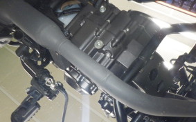 HONDA REBEL 250 S MC49