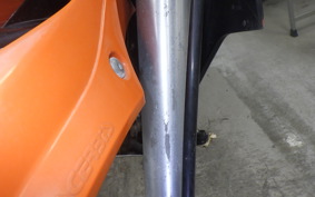 KAWASAKI KLX250D TRACKER X 2017 LX250V