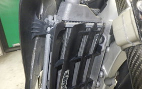 YAMAHA WR250R 2015 DG15J