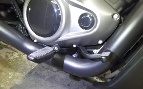 HARLEY RH975S 2024
