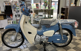 HONDA SUPER CUB50 AA09