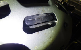 BMW R1300GS 2024