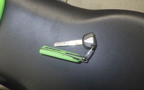 KAWASAKI ZX-4RR 2023 ZX400P