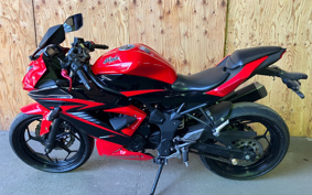 KAWASAKI Ninja 250SL BX250A
