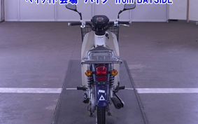 OTHER C110PU LOW 3