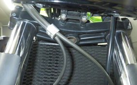 KAWASAKI ZRX1200 R 2007 ZRT20A