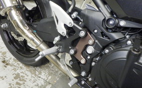 KAWASAKI NINJA 250 2023 EX250P