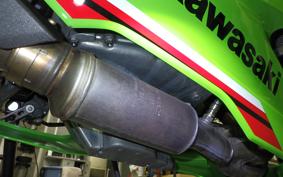 KAWASAKI NINJA ZX-6R A 2025 ZX636J
