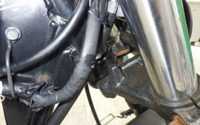 KAWASAKI 250TR 2021 BJ250F