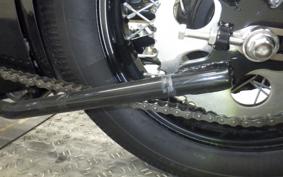 OTHER THUNDER 250