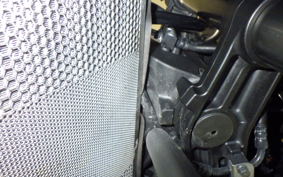 KAWASAKI NINJA 1000 A 2015