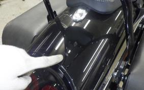 HARLEY FXDF 1580 2015