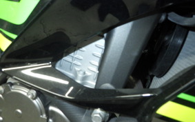 KAWASAKI NINJA ZX-6R A 2019 ZX636G