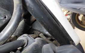 HONDA DIO ZX GEN 2 AF35