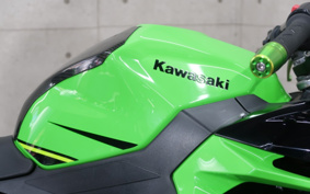 KAWASAKI NINJA 400 2019 EX400G