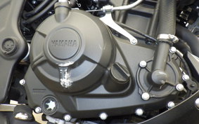 YAMAHA MT-25 A RG74J