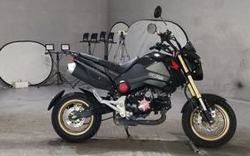 HONDA GU ROM JC61