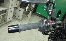 KAWASAKI VULCAN 650 SA 2024 EN650M