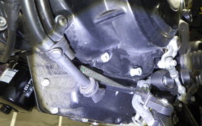 DUCATI SCRAMBLER ICON 2024