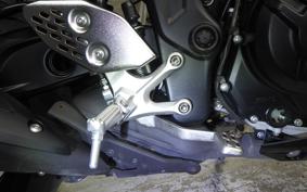 YAMAHA MT-25 2010 RG43J