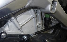 APRILIA TUONO V4 1100 2021