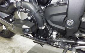 KAWASAKI NINJA ZX-6R A 2019 ZX636G