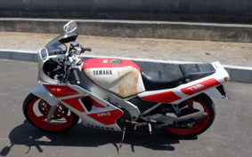YAMAHA TZR250-1 1KT